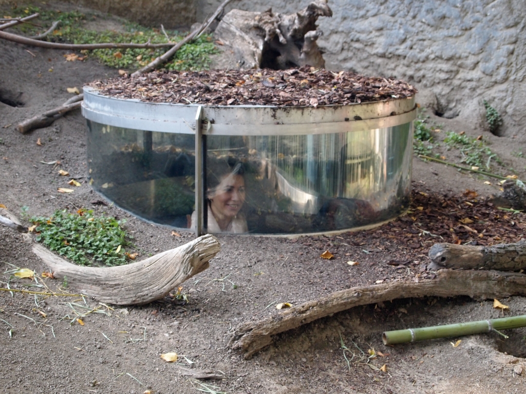 P1011112.jpg