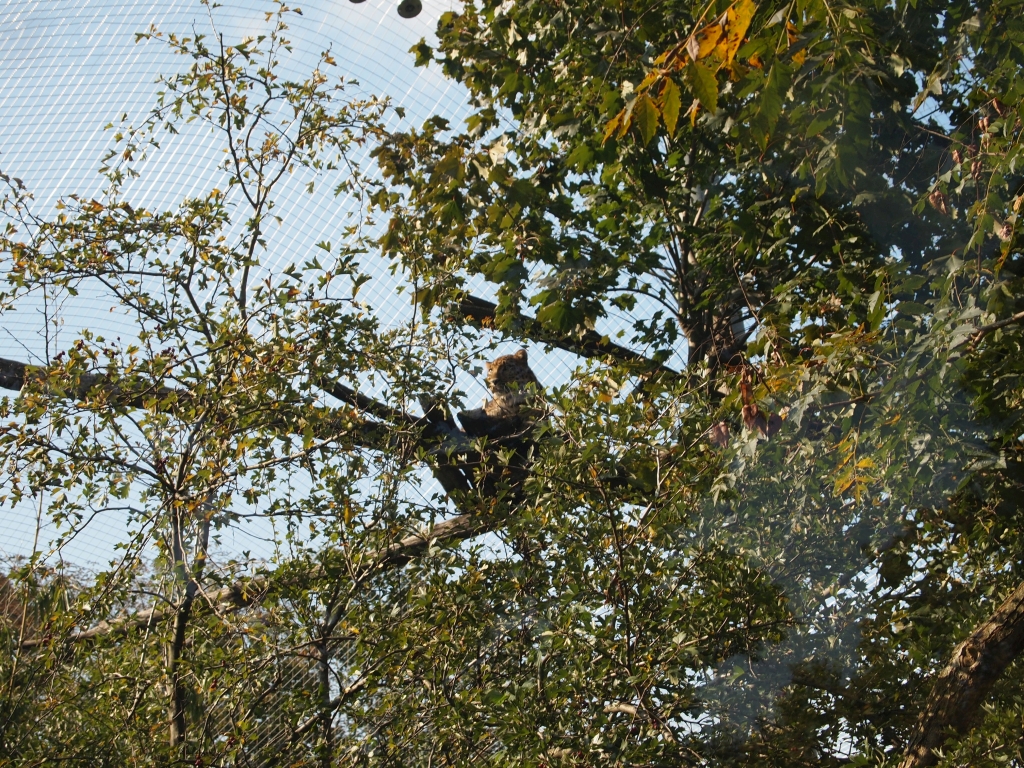 P1011143.jpg