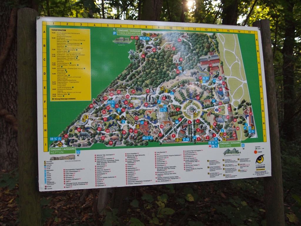 P1011167.jpg