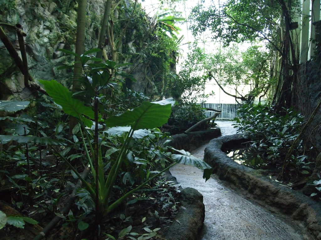 P1011190.jpg