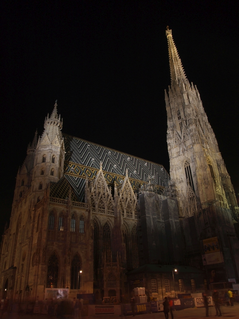 P1011358.jpg