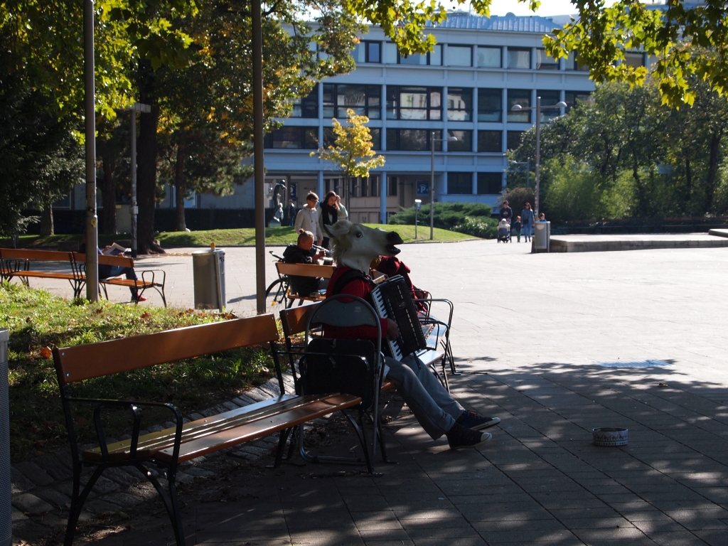 P1011456.jpg
