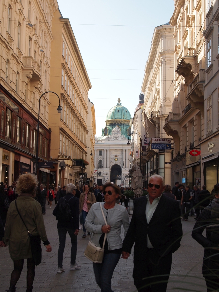 P1011554.jpg