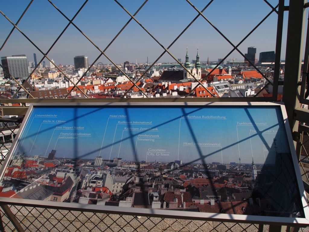 P1011611.jpg