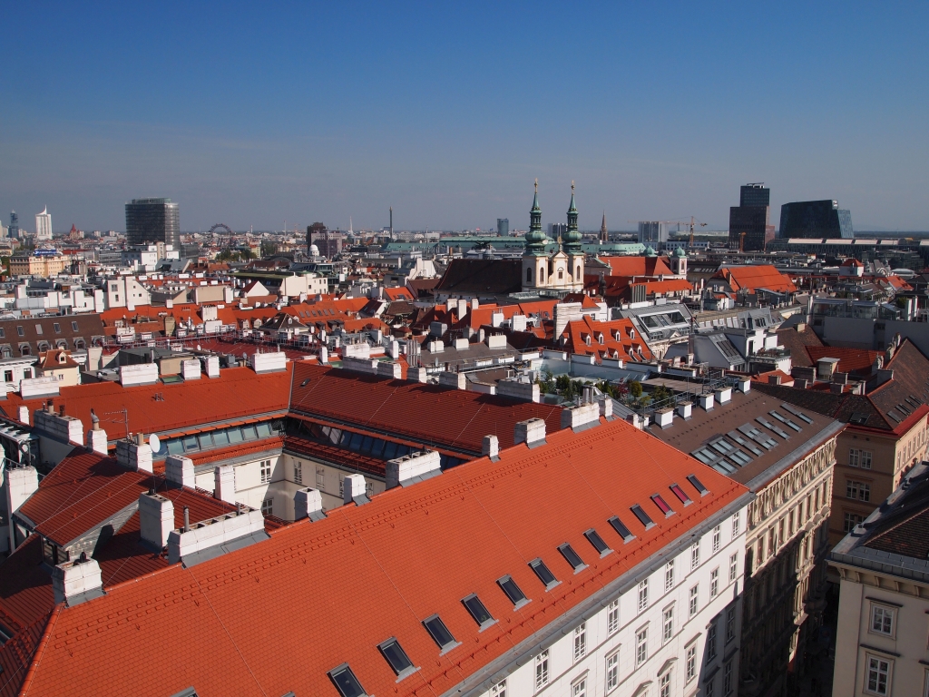 P1011641.jpg