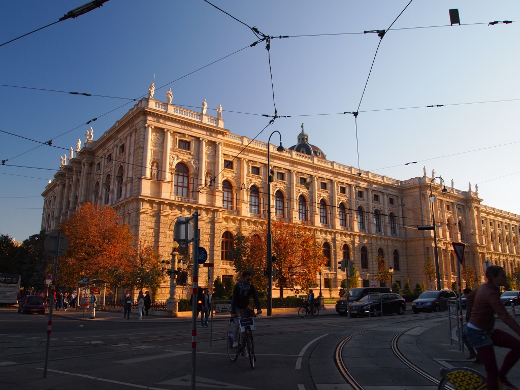 P1011868.jpg