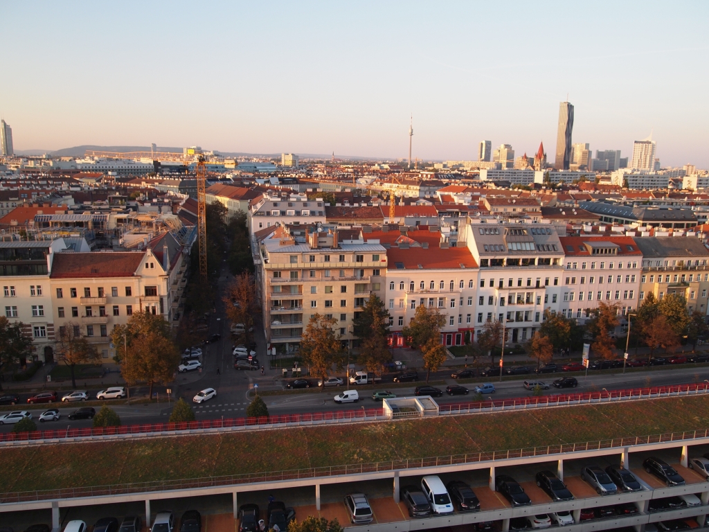 P1011960.jpg