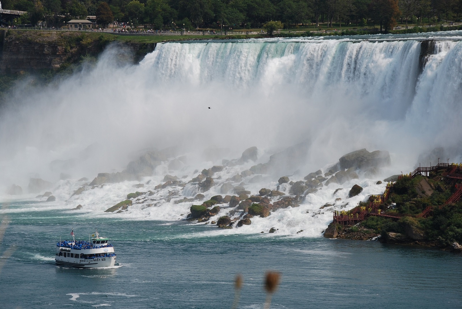 DSC_0120.JPG