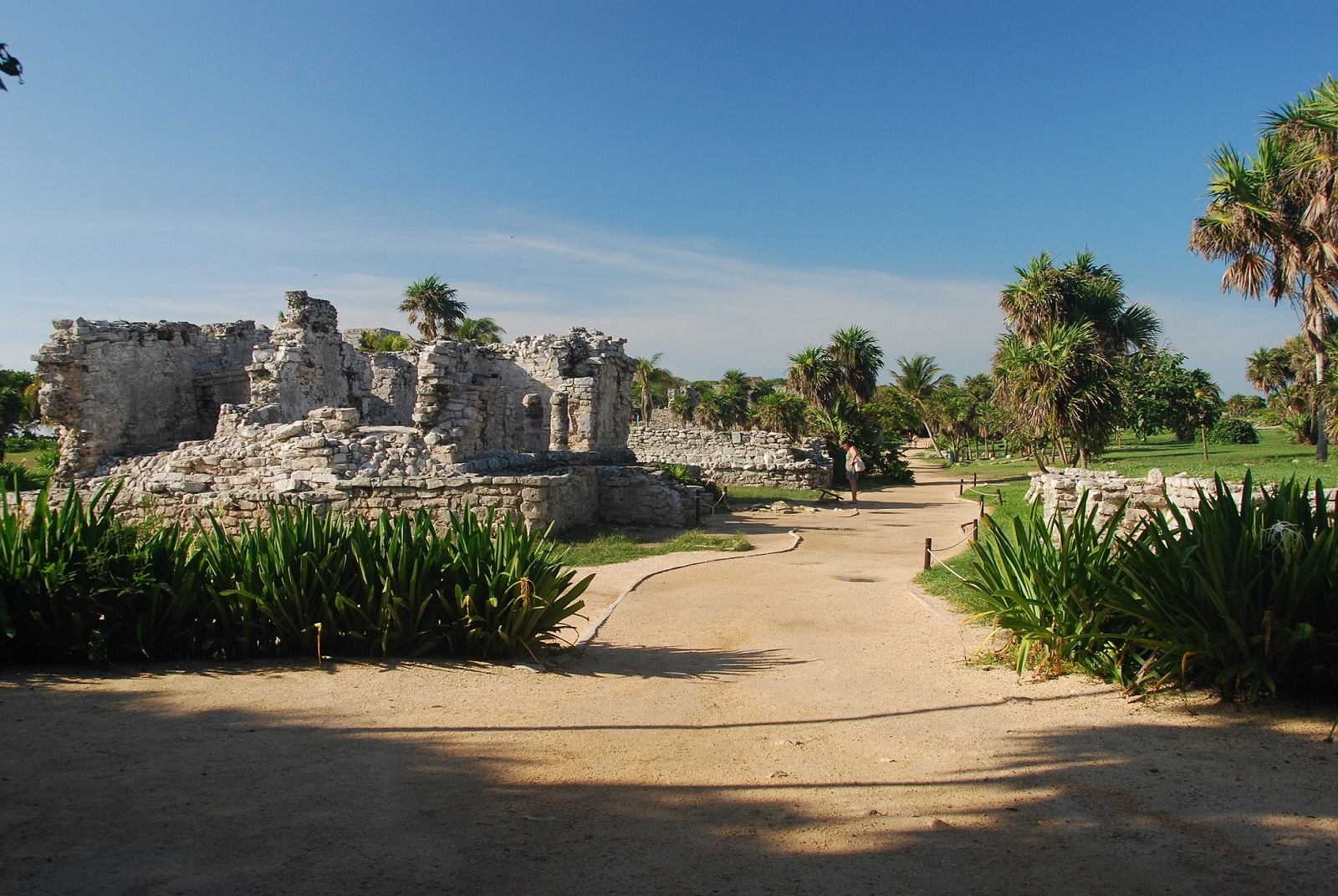 DSC_0732.JPG