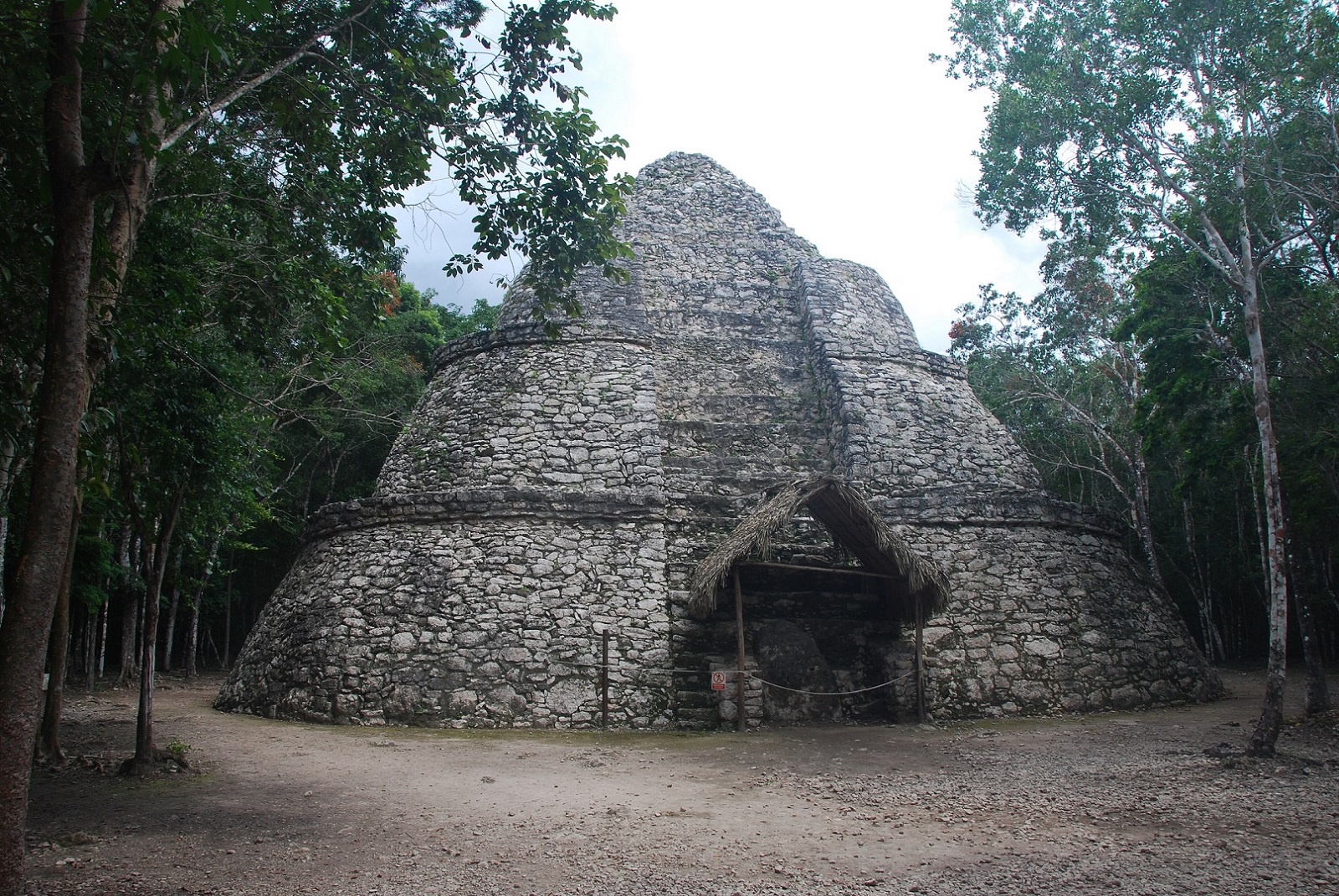DSC_0699.JPG