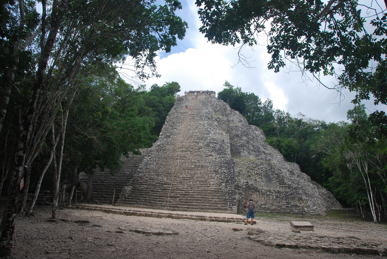 DSC_0702.JPG