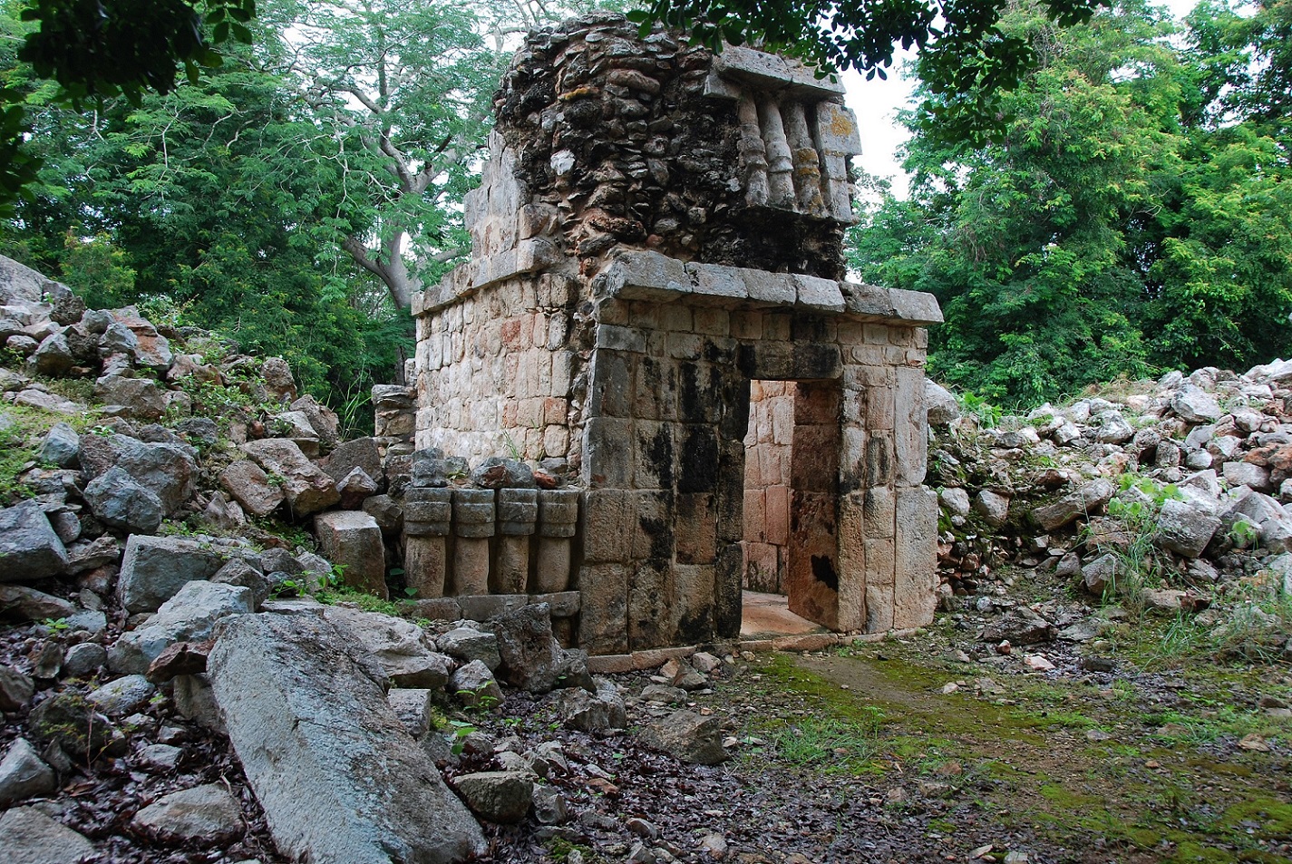 DSC_0005.JPG