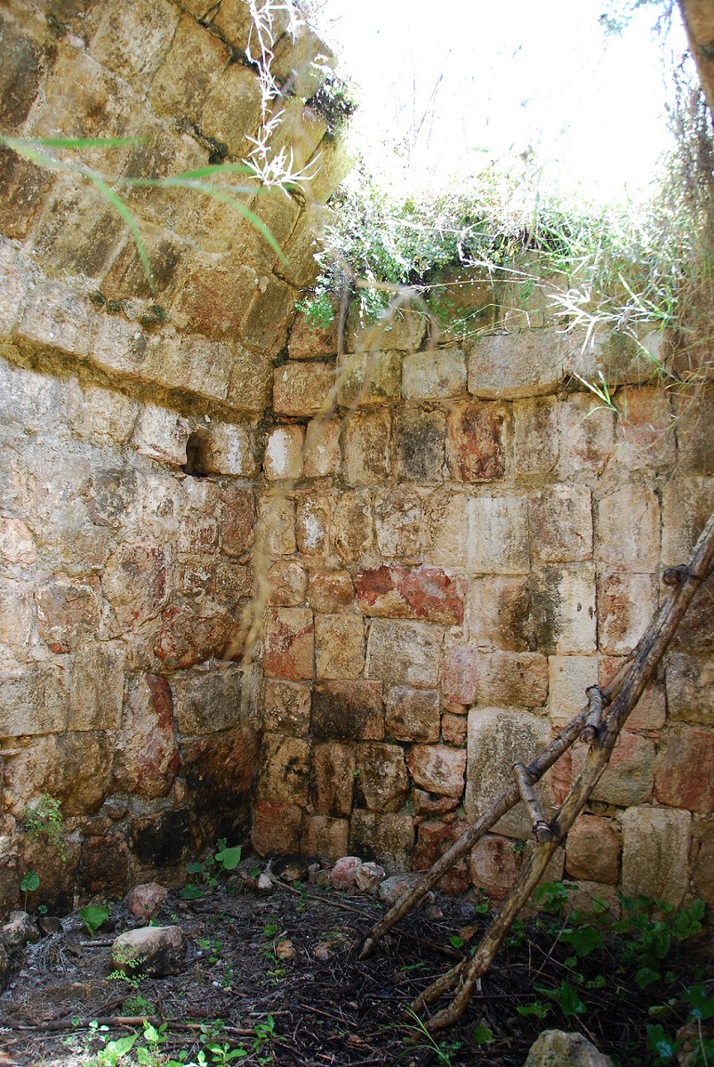 DSC_0138.JPG