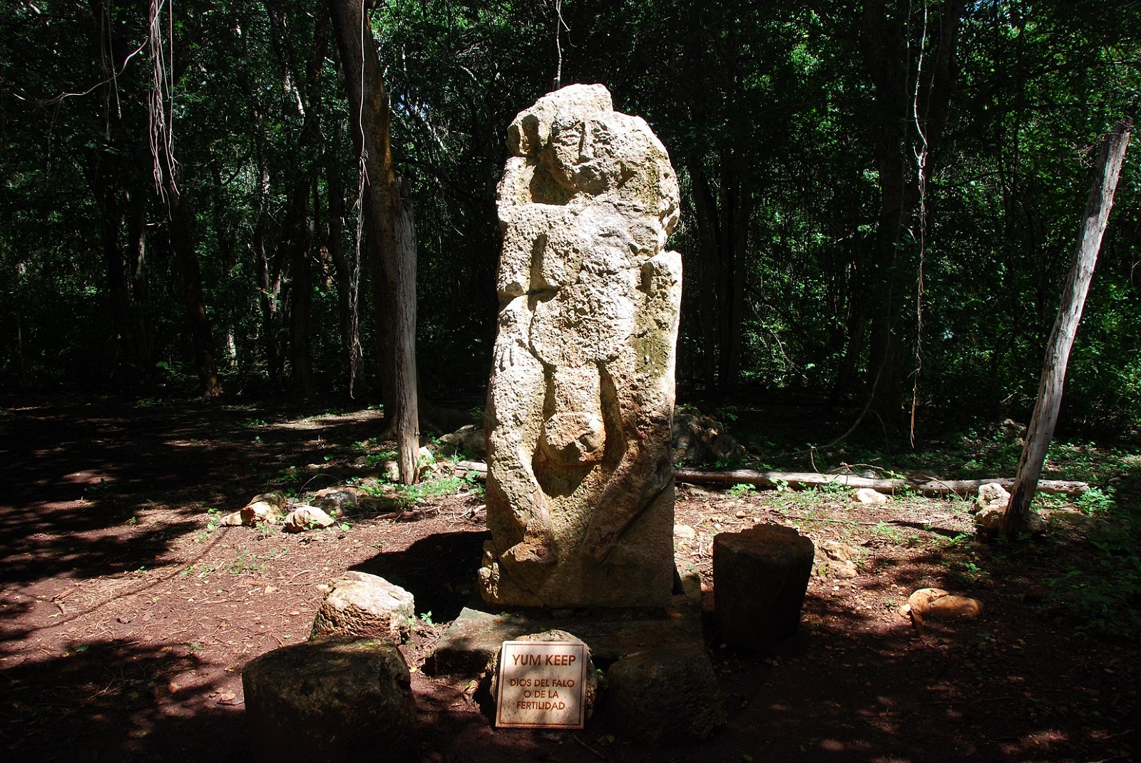 DSC_0155.JPG