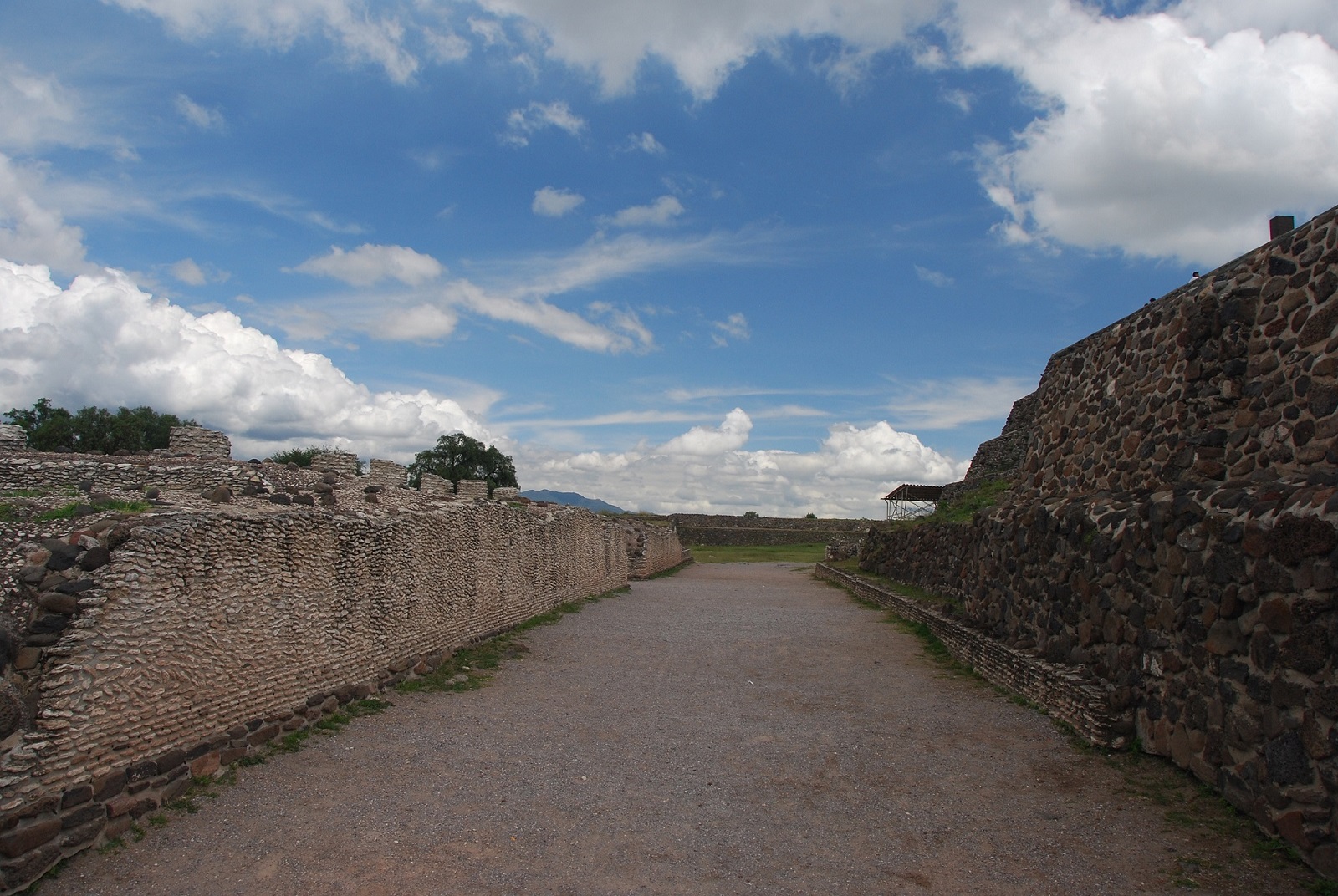 DSC_0263.JPG