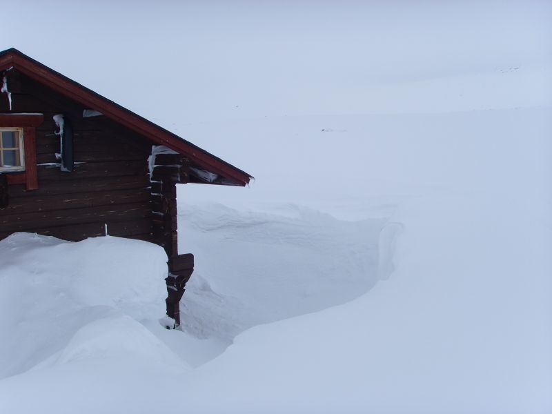 Finlandia.jpg