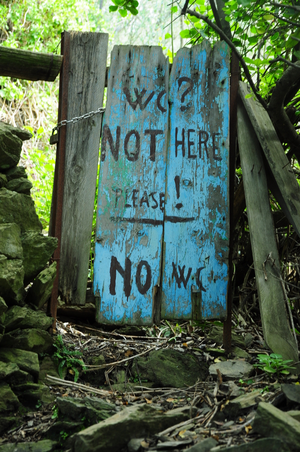 DSC_0503.JPG
