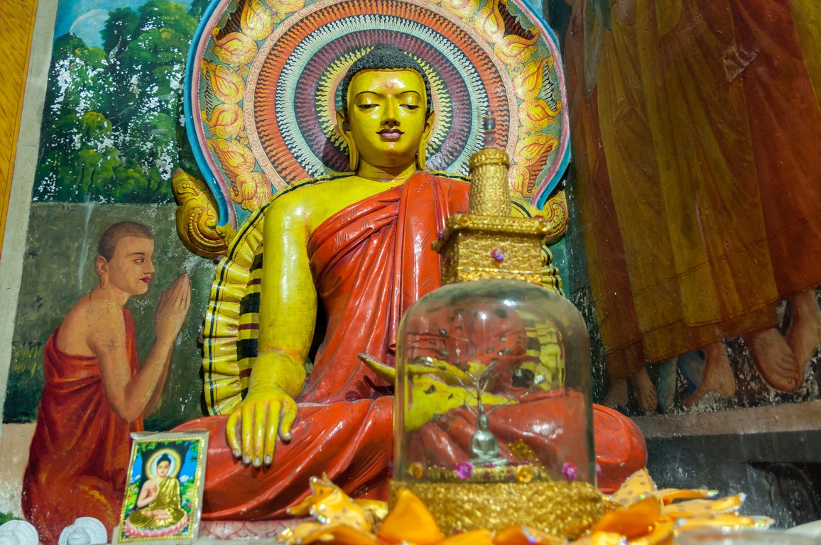 Sri Lanka 2017-6582.jpg