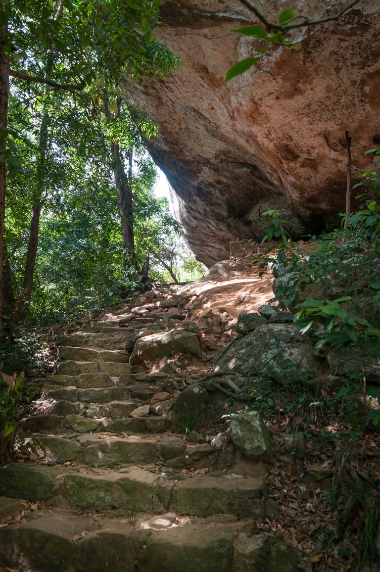 Sri Lanka 2017-6584.jpg