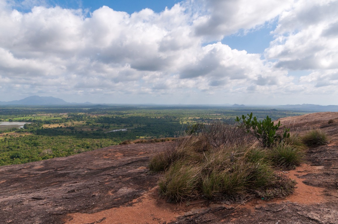Sri Lanka 2017-6597.jpg