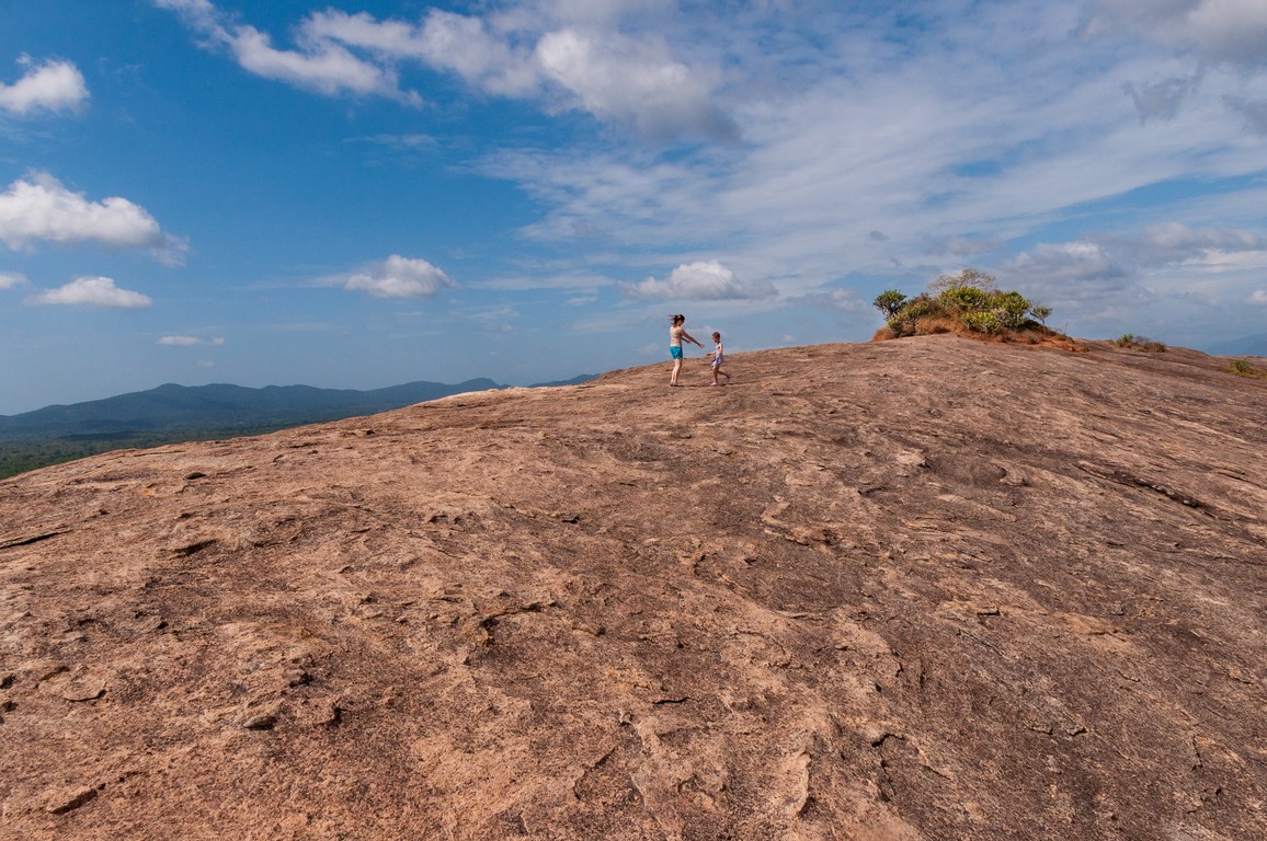 Sri Lanka 2017-6603.jpg