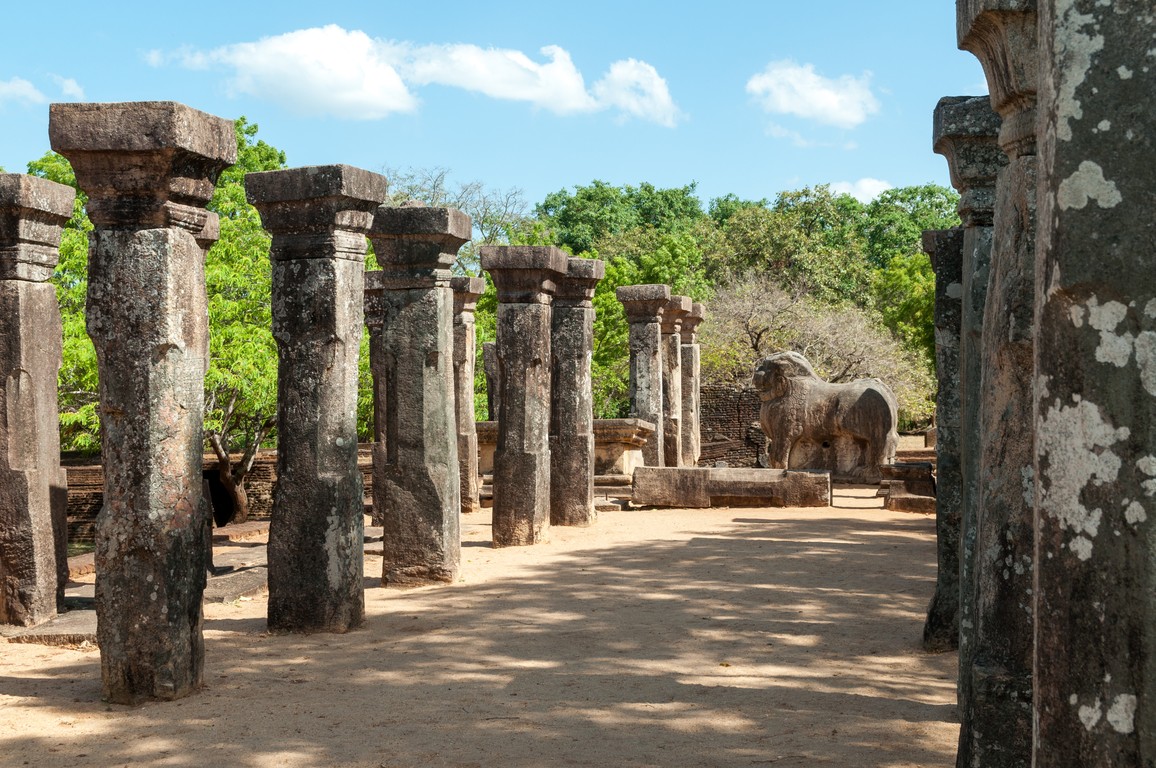 Sri Lanka 2017-6649.jpg