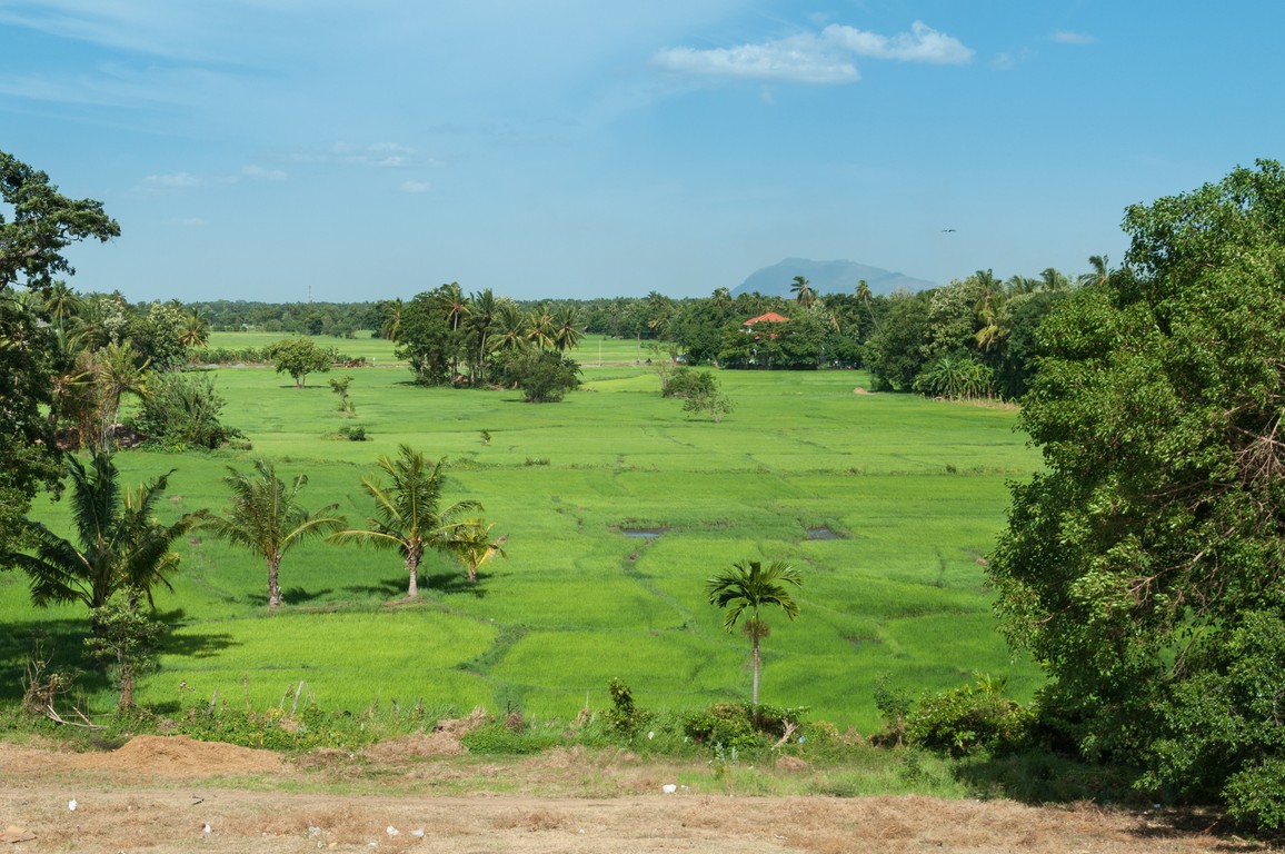 Sri Lanka 2017-6653.jpg
