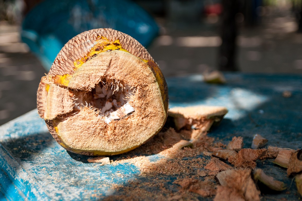 Sri Lanka 2017-6848.jpg