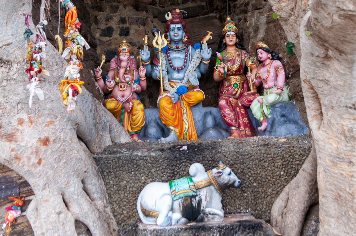 Sri Lanka 2017-6864.jpg
