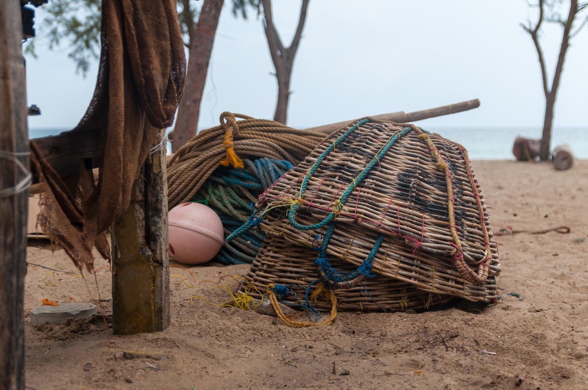 Sri Lanka 2017-6960.jpg