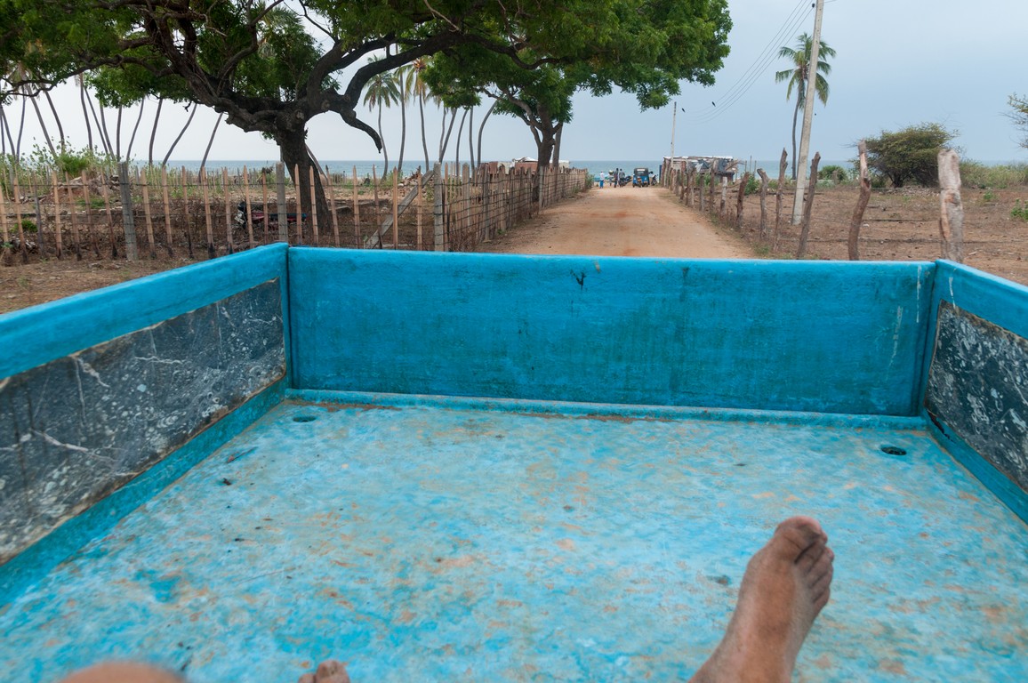 Sri Lanka 2017-6992.jpg