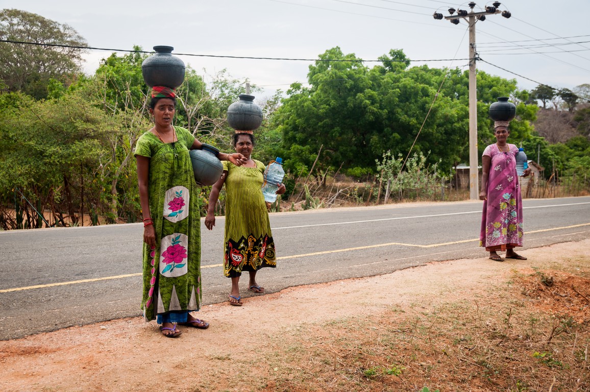 Sri Lanka 2017-7019.jpg