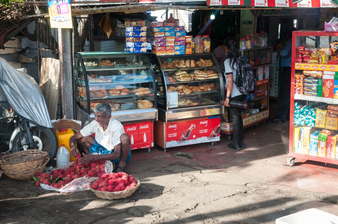 Sri Lanka 2017-7132.jpg
