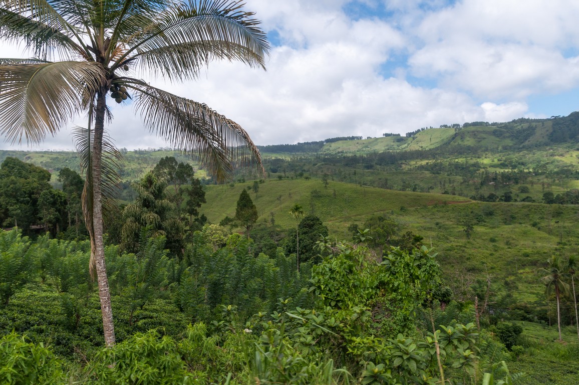 Sri Lanka 2017-7158.jpg