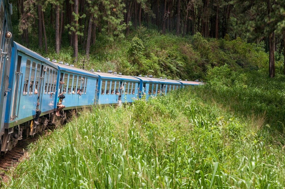 Sri Lanka 2017-7170.jpg