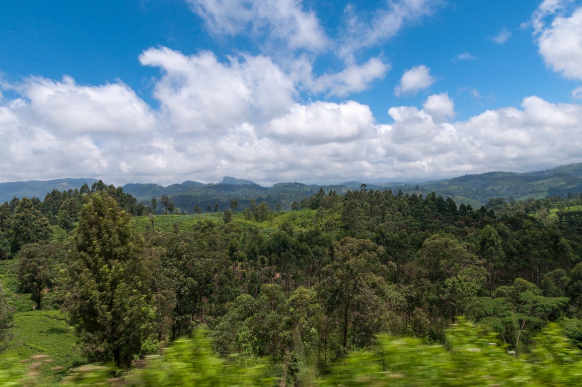 Sri Lanka 2017-7242.jpg