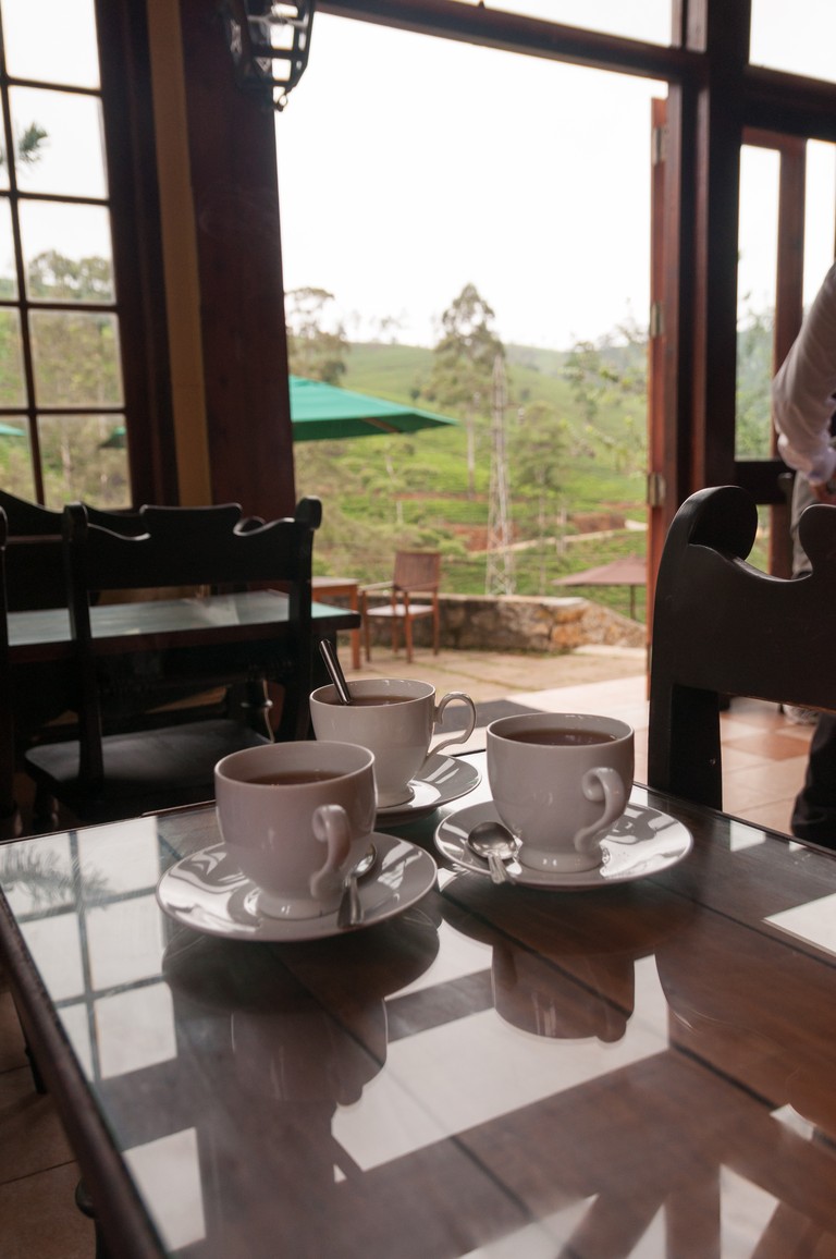 Sri Lanka 2017-7256.jpg
