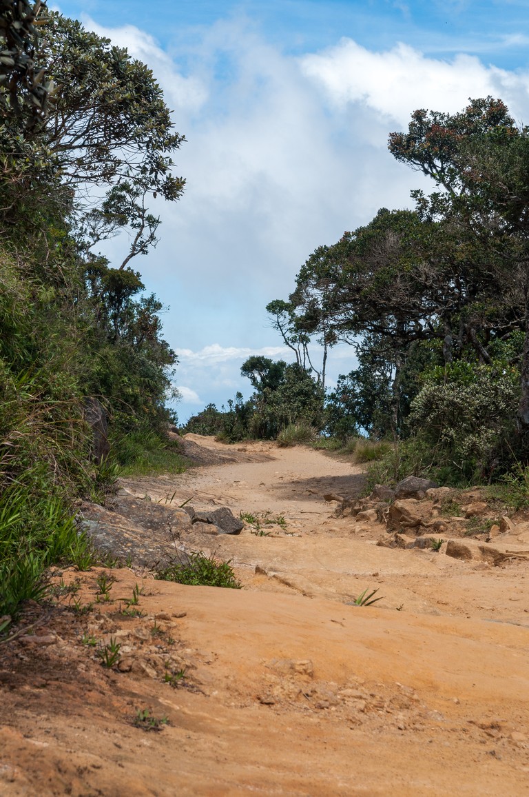 Sri Lanka 2017-7312.jpg
