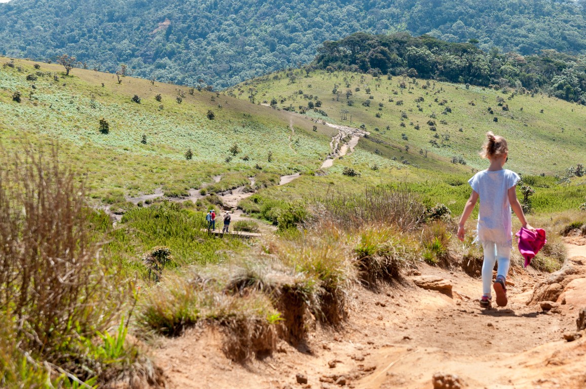 Sri Lanka 2017-7342.jpg