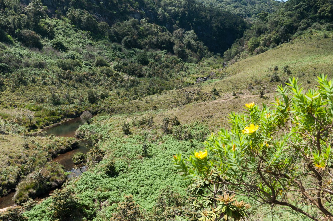 Sri Lanka 2017-7355.jpg