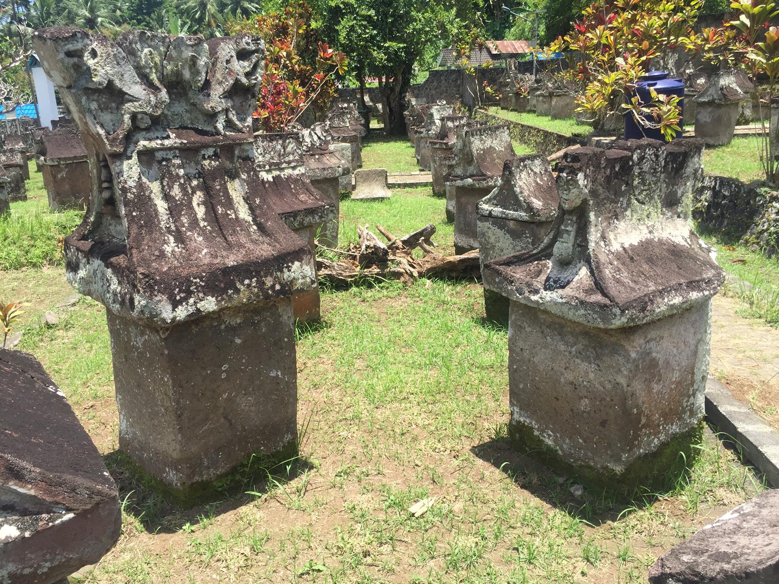 IMG_2520 (Copy).JPG
