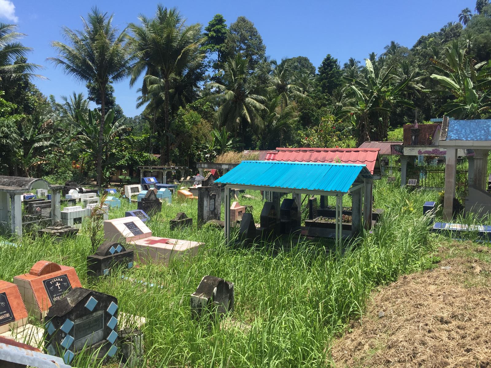IMG_2525 (Copy).JPG