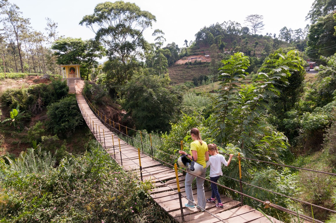 Sri Lanka 2017-7490.jpg