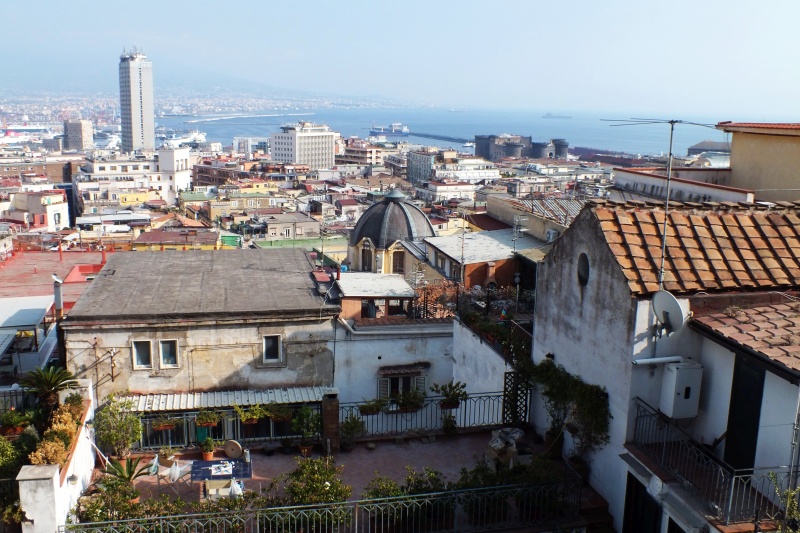 DSCF8223.jpg