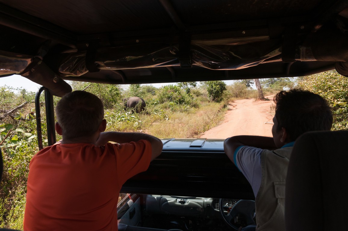 Sri Lanka 2017-7531.jpg