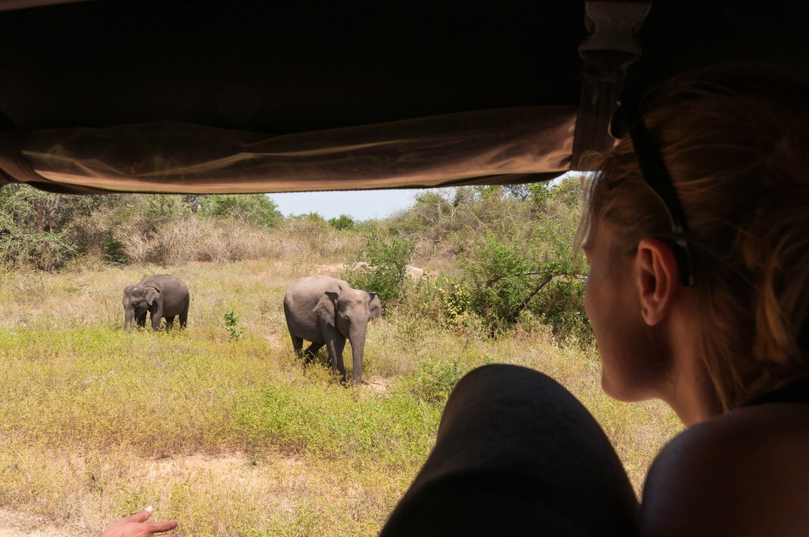 Sri Lanka 2017-7544.jpg