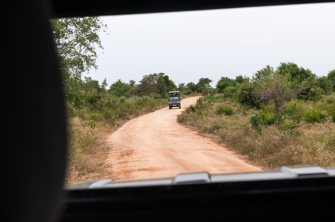 Sri Lanka 2017-7616.jpg