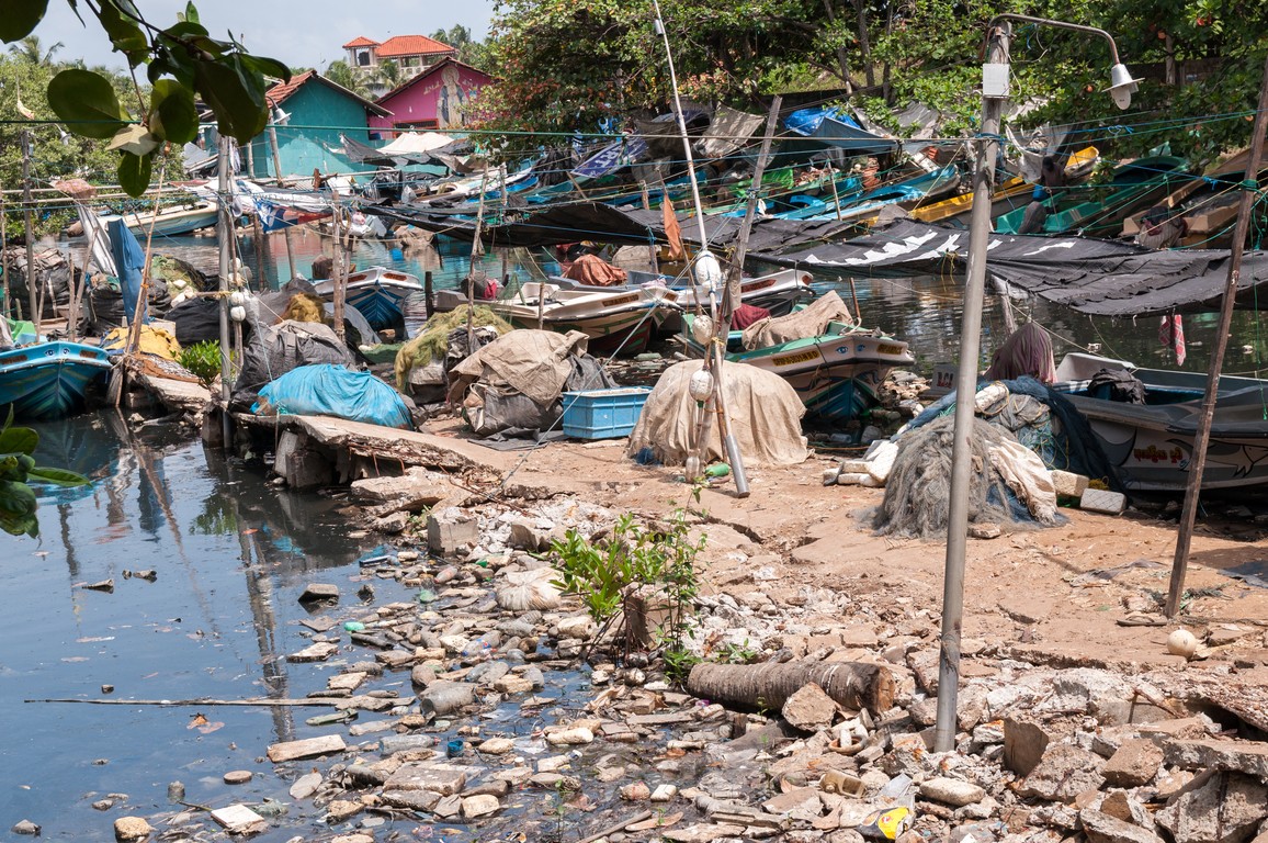 Sri Lanka 2017-7657.jpg