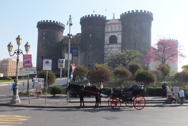 DSCF8275.jpg