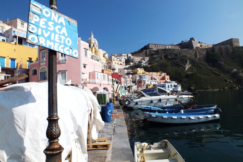 DSCF8312.jpg